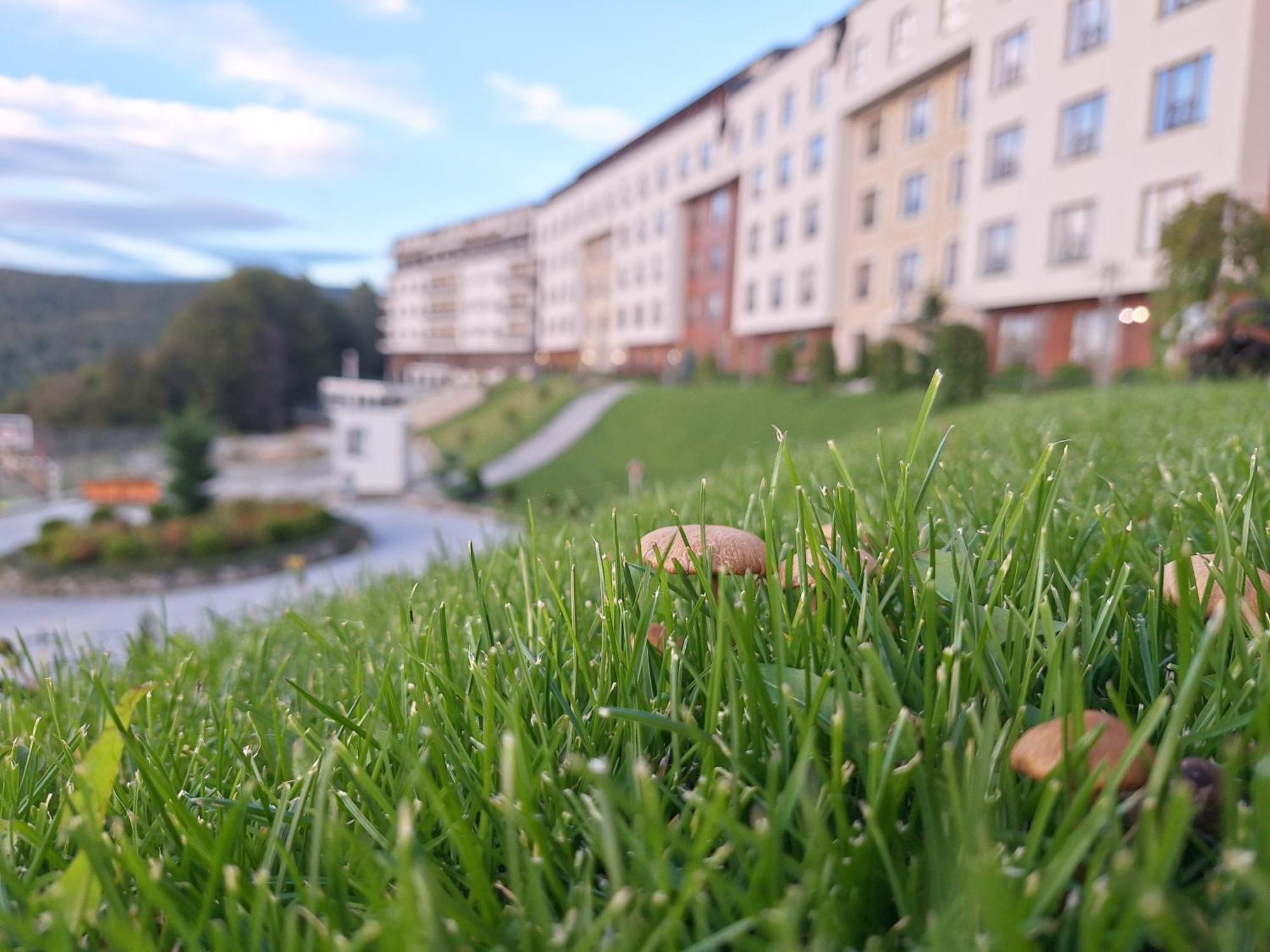 Vistanova Milmari S33 Apartman Kopaonik Kültér fotó